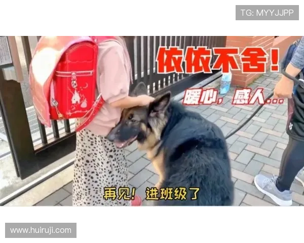 好狗先生携手众人揭开都市情感迷雾谱写暖心成长群像故事